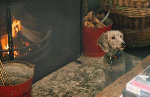 The West End - Hawarden Castle - Foto 21