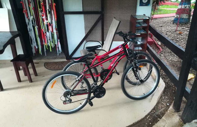 Apartamentos Massai - Foto 61