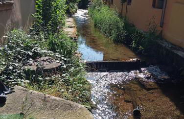 Les charmes de la Kirneck - Photo 39