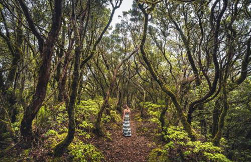 Chalet Isla Tenerife - Foto 37