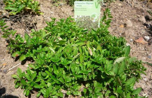 Wolfs Ferienhaus - Natürlich Eifel - Foto 28