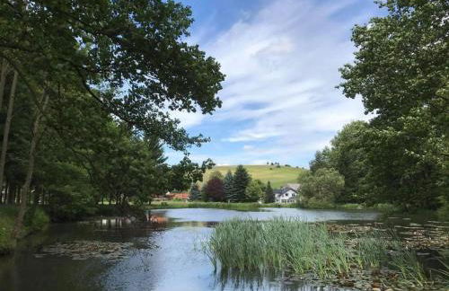 Holiday Home am Weiher by Interhome - Foto 25