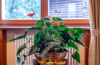 Family Apartments Le Chalet - Foto 9