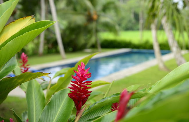 Ivory House - Foto 41