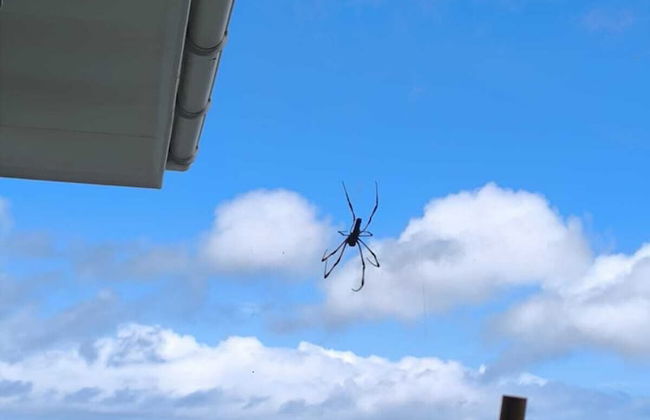 Sunset View Self Catering - Foto 1