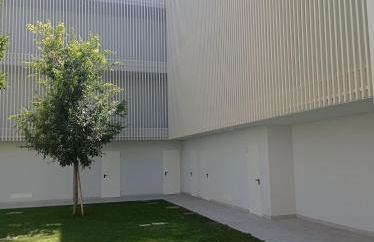 Stella di Mare - Cà Savio - Foto 19