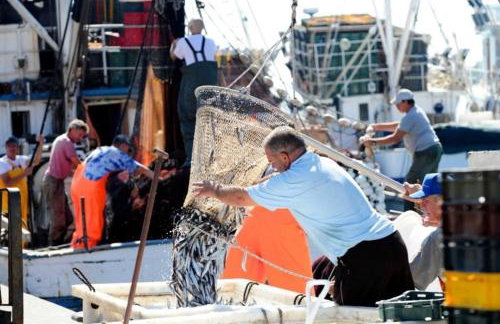 Apartmani Mia - Foto 73