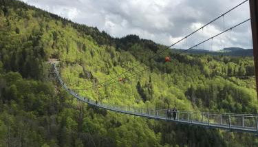 Saunaparadies Black Forest - Foto 4