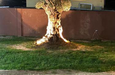 Hotel Rural VN Tenorio - Foto 22