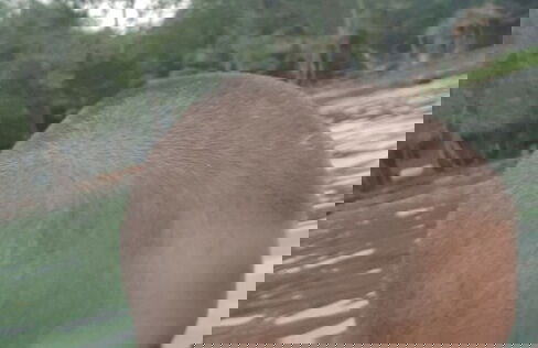 Cupido Beach SPA Resort - Foto 22