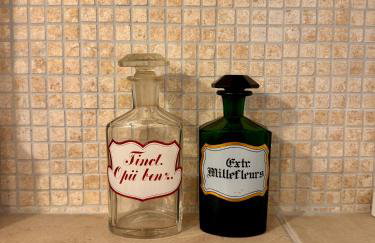 Villa Olivetta by Istrian Country Houses - Foto 56