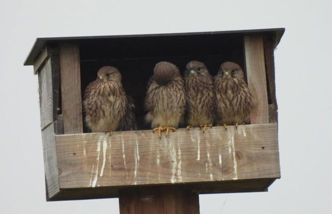 Lovely Group Home With Lots of Privacy, Ideal for Families and Friends - Foto 30