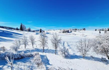 MV Vacances - Foto 22