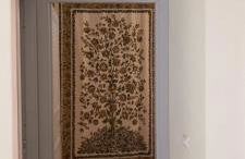 La Fernandina - Foto 17