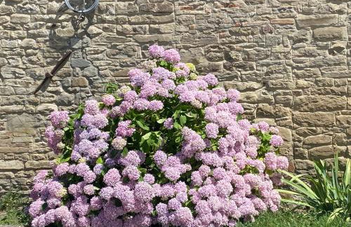 Torre Cavina - Foto 40