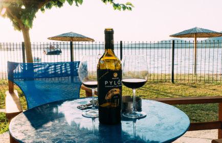 Bluevera sandy beachfront villa-Aidipsos bay - Foto 6