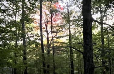 Tranquil NH Lakehouse Escape - Foto 35