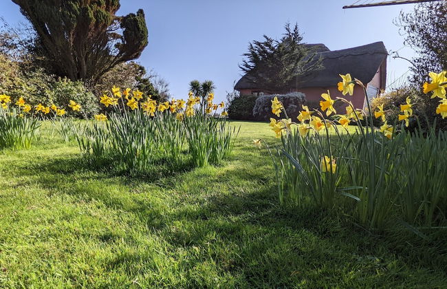 Mole Cottage - Foto 50