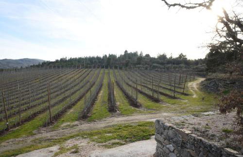 Casa do Feitor - Douro - Quinta da Cabrida - Foto 68