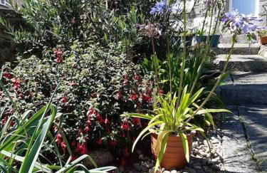 Corvus - Beautiful cottage half a mile from Mousehole - Photo 10