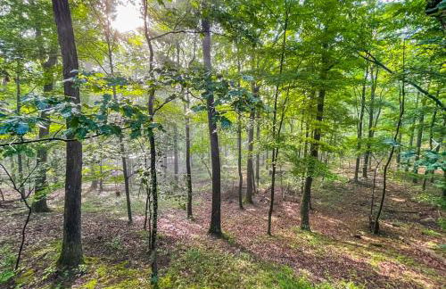 Huge Cabin w Hot Tub, Deck, Grill, Fire Pit, WiFi - Foto 76