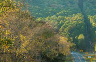 Nebo's Foot, Hiking and Biking Escape with Game Shed - Foto 75