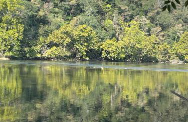 The Firefly Lodge at ShenandoahHot Tub~ View~Pets - Foto 17