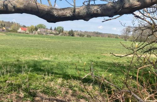 Familienfreundliche Unterkunft direkt am Nationalpark unteres Odertal - Photo 32