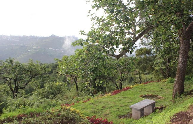 The Pear County - Foto 45