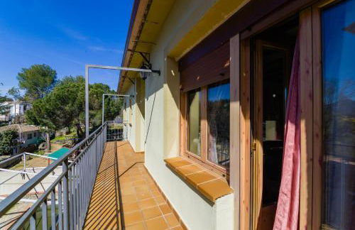 Finca 13 Ramas - Photo 22