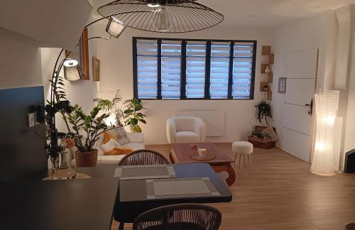 Petit cocon au coeur de Vichy - Foto 1