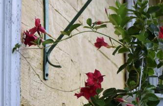 Apartament w zabytkowym budynku - Foto 6