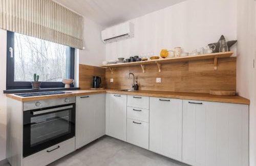 Domki W Sam Las & SPA Lubenia - Foto 21