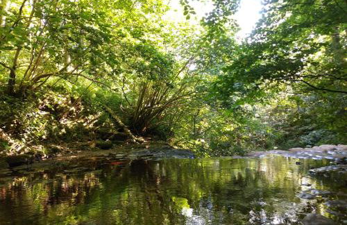 Brook Cottage Askrigg - Photo 51