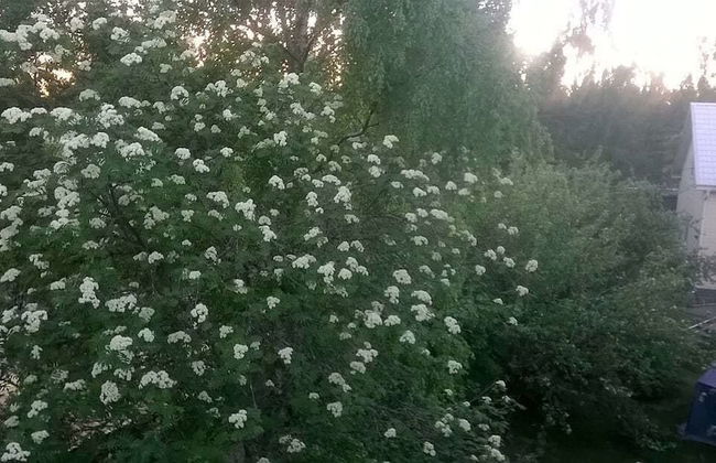 Spacious 4 Room Apartment & Sauna - Photo 29