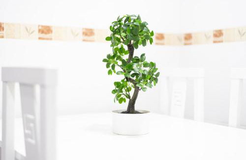 Apartamento Las Candelas, Ares - Foto 73