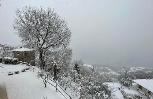 Villa dei Roveri - Foto 19