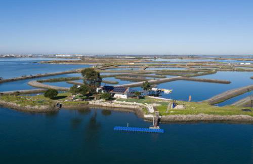 Barcos Casa OstrAveiro - Foto 17