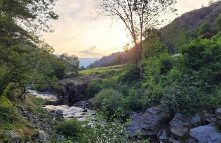 Les Cèdres - Foto 59