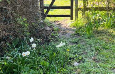 The Cove, Three Cliffs Bay - Foto 14