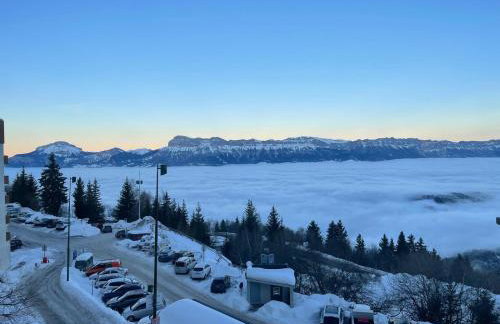 T3 Apartement front de neige - Foto 1