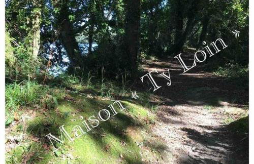 Villa Ty Loin vue mer 8 personnes - Foto 23