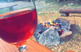 The Bird House near Fall Creek Falls State Park - Foto 38