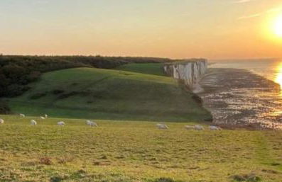 LE CISE EAU À bois - Foto 30