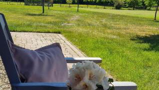 Ferienhaus Weidblick - Foto 2, Garden, Garden view