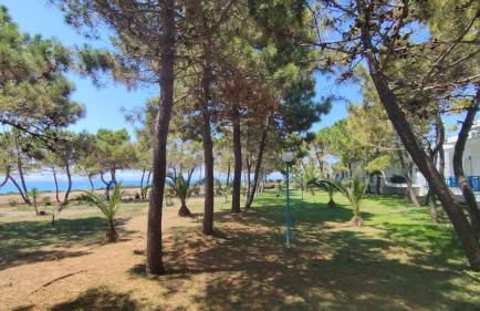 Kipriotis Hotel - Foto 61