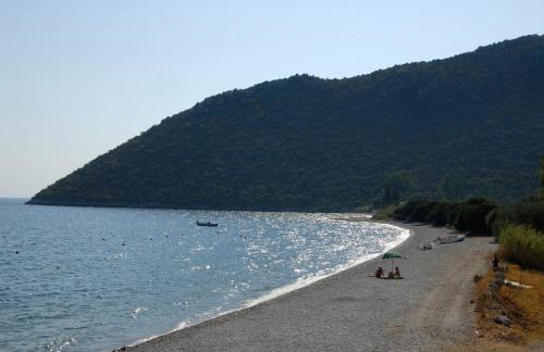 Manto Studios - Photo 71