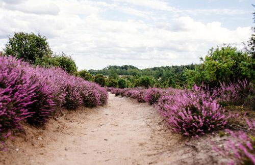 Waldhaus Emma - Foto 20