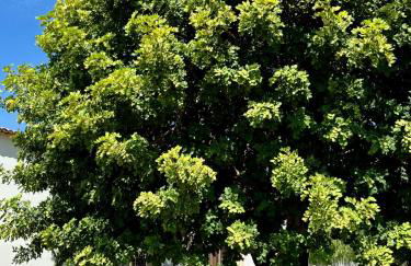 Chiusa Di Carlo Agriturismo - Foto 17