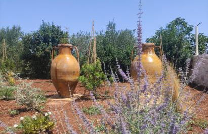 Domus Petri 1908 - Foto 37